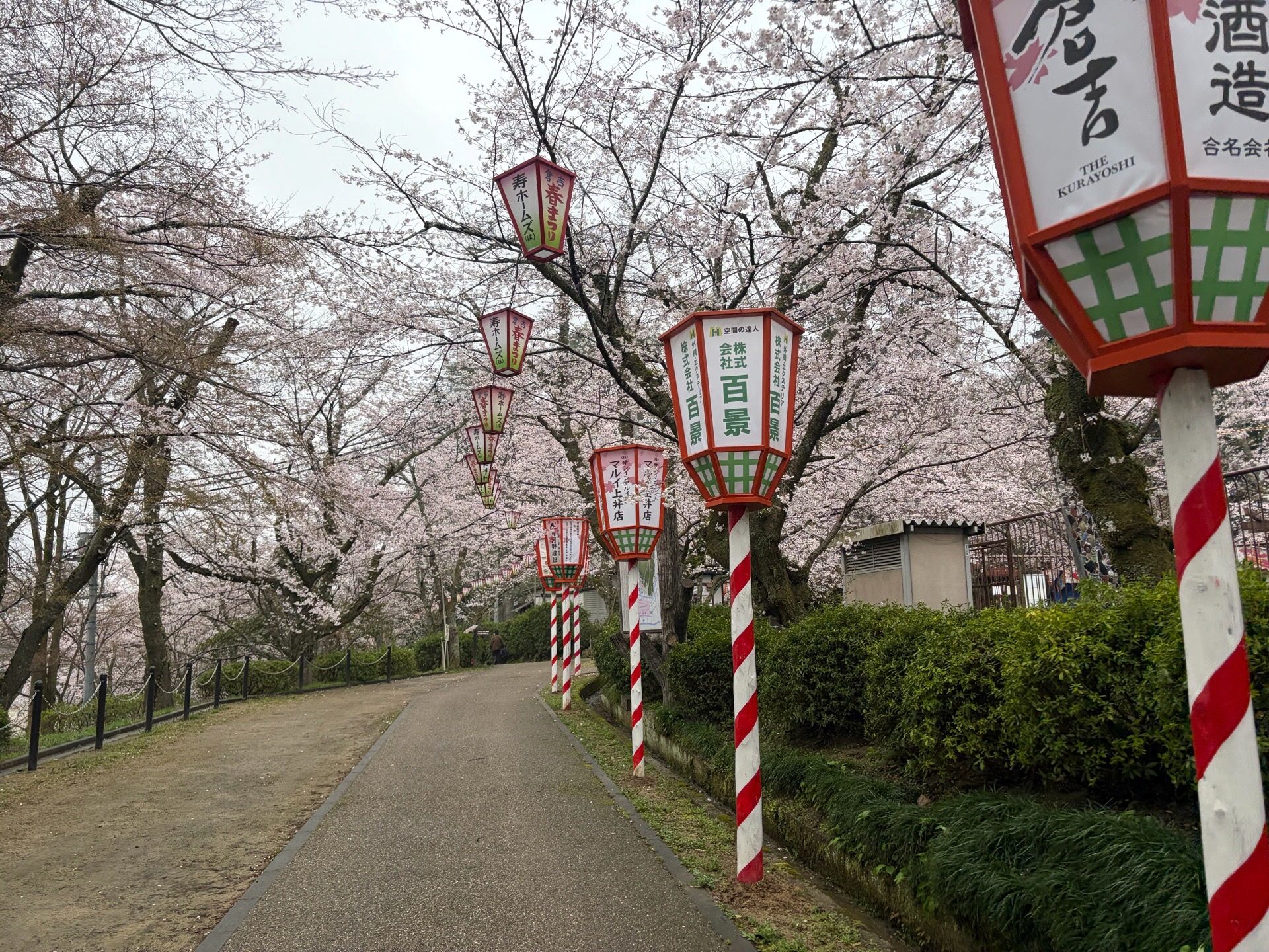 公園内の様子